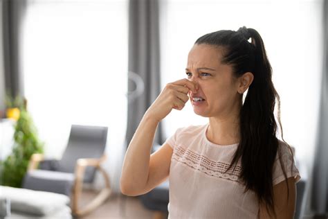 metallic smell in one room of house|pungent odor in house.